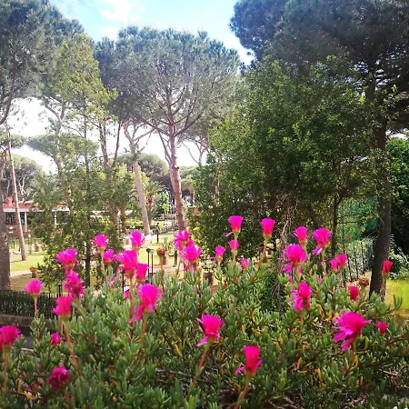 Casa Margherita Affittacamere B&B-3