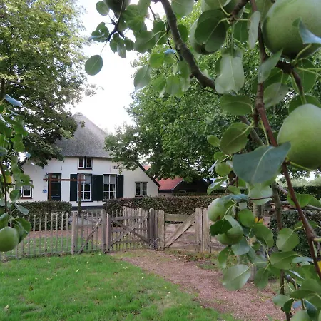 B&B De Willemshoeve-2