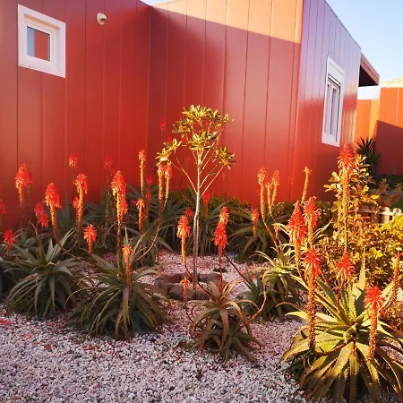 Family Surf Home - Bungalows-2