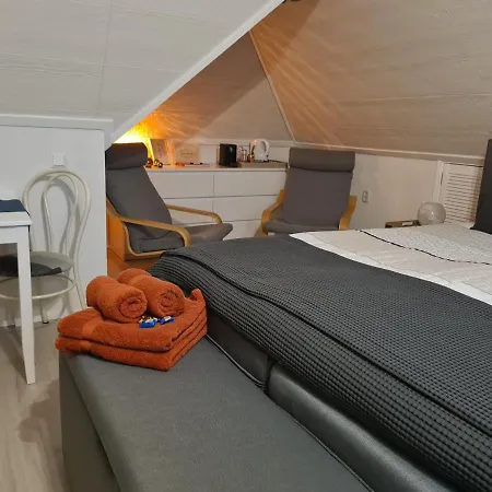 B&B De Loenense Bossen-2