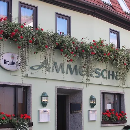 Ammerscher Bahnhof-2