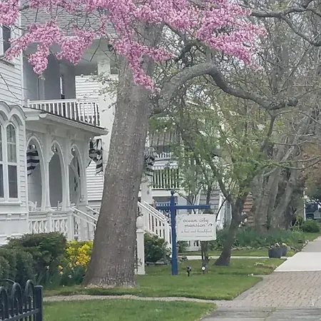 Ocean City Mansion-3