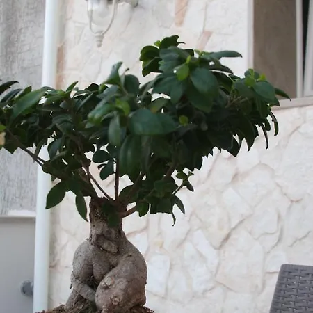 “A Casa” Luxury-3