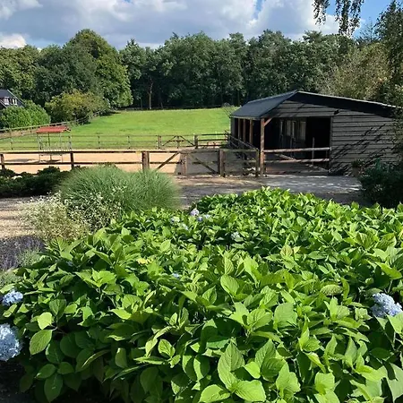 Bed&Breakfast De Paalberg-2