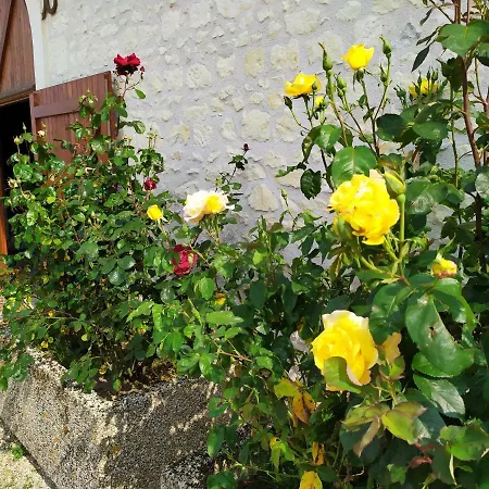 La Belle Etoile-3