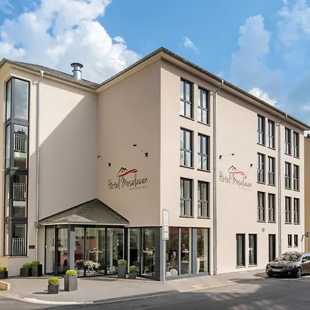 Hotel Moselauen-3