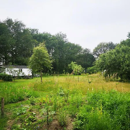 Bed & Breakfast Markelo-2