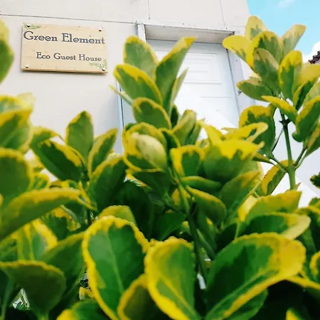 Green Element Guesthouse-3