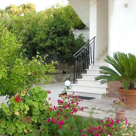 B&B Apollonia-3
