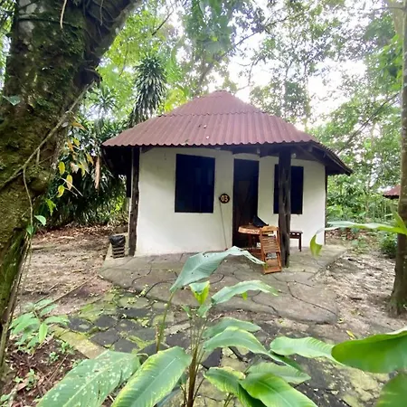 Reservamazon Forest Hotel-3