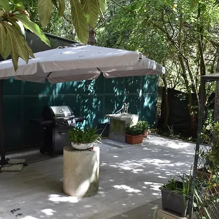 Cospea B&B-3