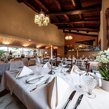 Swiss Historic & Garten Hotel Villa Carona-3