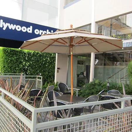Hollywood Orchid Suites-2