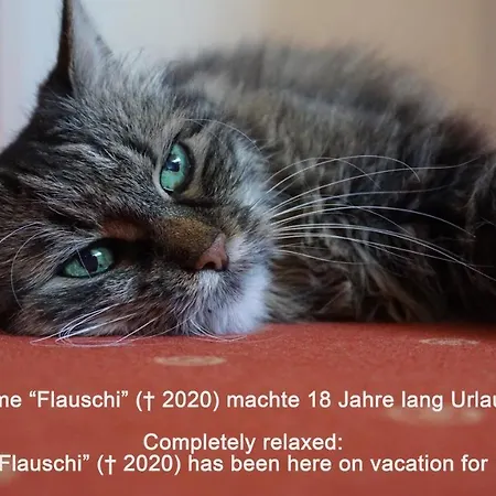 Haus am Trielberg-2