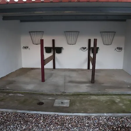 Casa Do Tio Ze-3