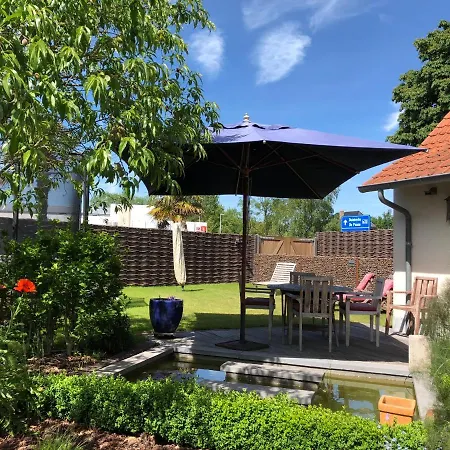 B&B Kudita-3