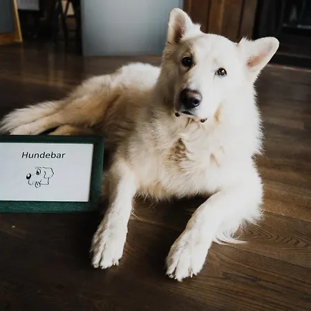 Bruderherz-3