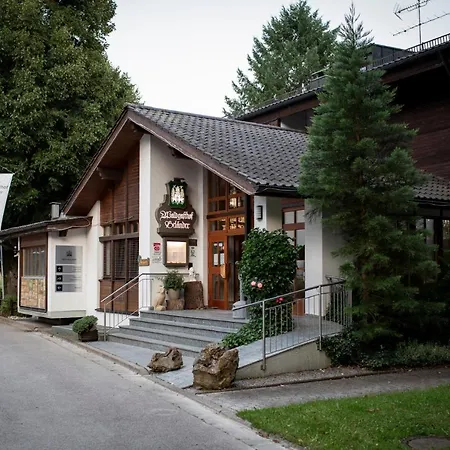 Hotel Waldgasthof zum Geländer-2