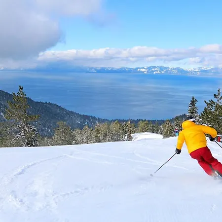 North Tahoe Nest-3