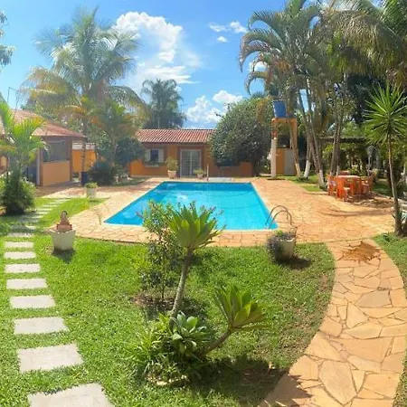 Família Busca-pé-3