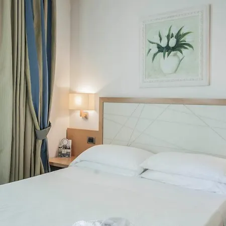 Hotel Domus-3