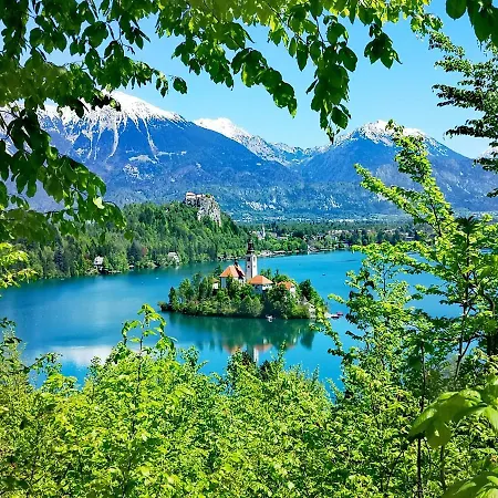 Ribno Alpine Hotel-3
