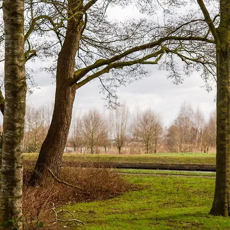 B&B overnachting de Margriet-3