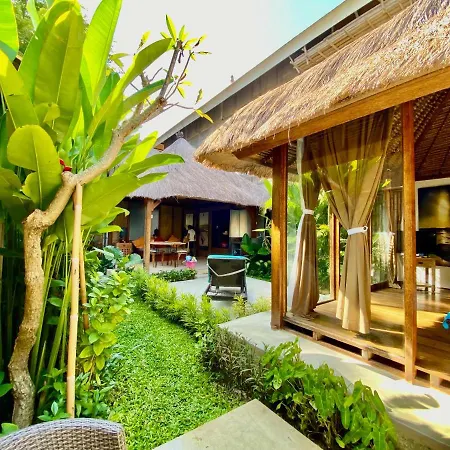 Little Tree House-2