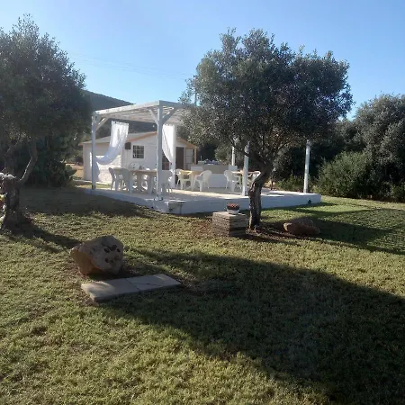 B&B Gli Ulivi-3
