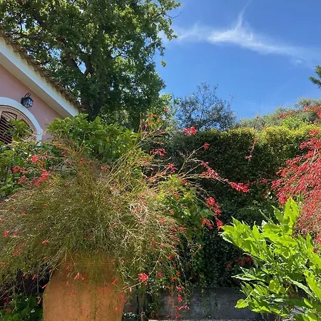 Villa Britannia-2