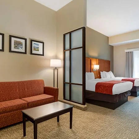 Comfort Suites Kingsport South-3