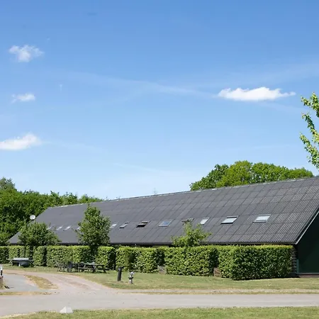Horsetellerie Rheezerveen-2