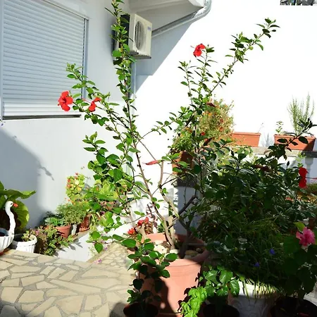 Guest House Vera-3