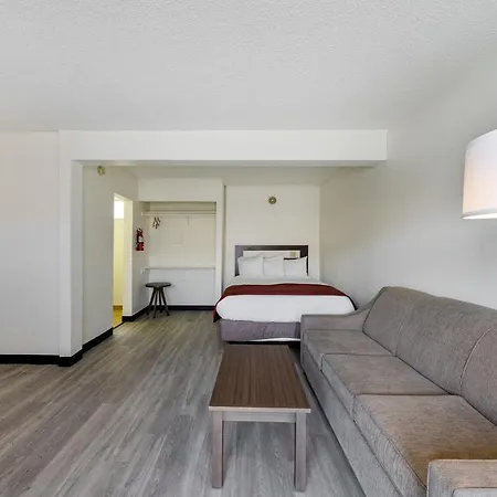 Vivo Flex Living Torrance-2