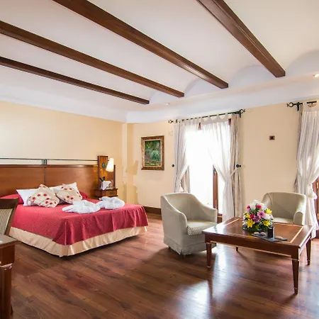Hotel Abades Guadix-2