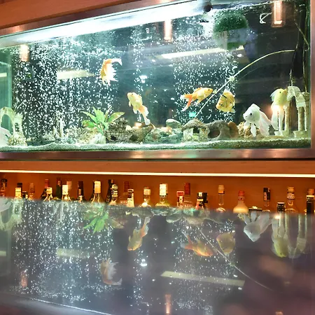 Istankoy Hotel-2