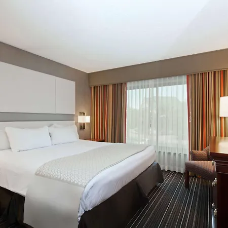 Sonesta Suites Dallas Park Central-2