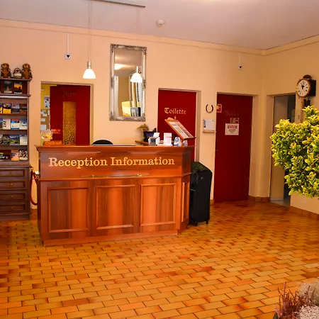 Hotel Roessli-3