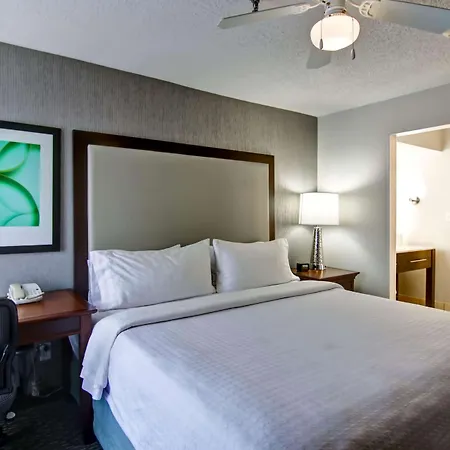 Homewood Suites By Hilton Memphis-Poplar-2