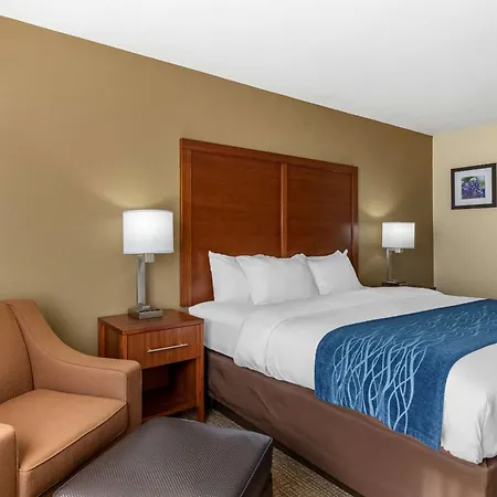 Comfort Inn & Suites Texas Hill Country-3