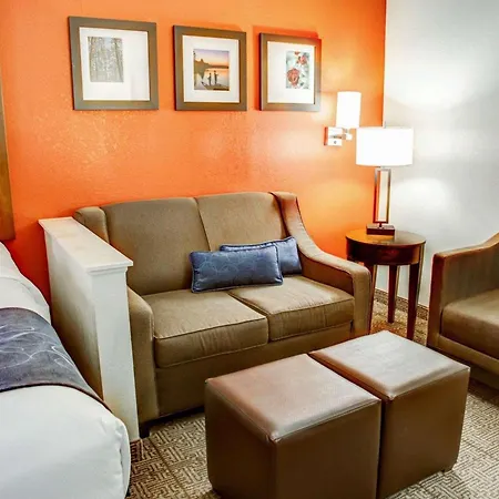 Comfort Suites Tyler South-3