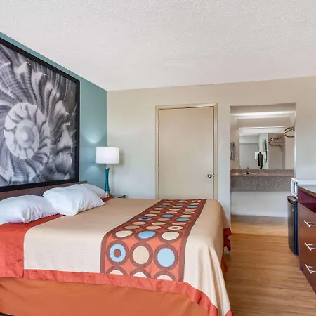 Super 8 By Wyndham Clearwater/Us Hwy 19 N-2
