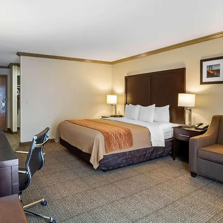 Comfort Inn Castro Valley-3