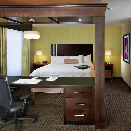 Hampton Inn & Suites Saginaw-3