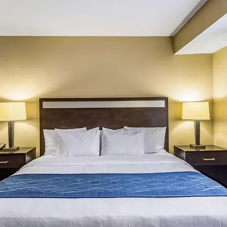 Comfort Inn Independence - Cleveland-3