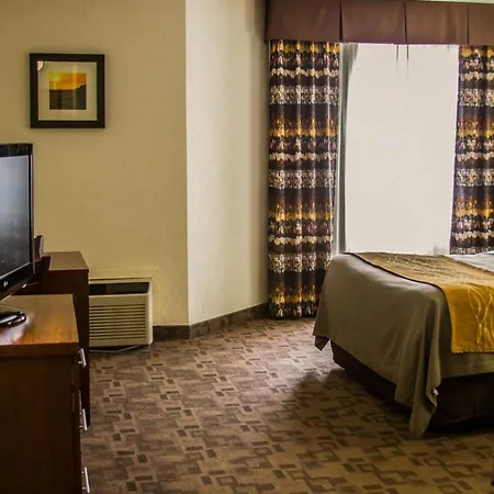 Comfort Inn Birch Run - Frankenmuth-3