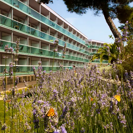 Hotel Aurora-3