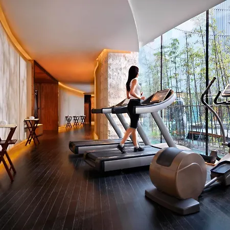 Himalayas Hotel Shanghai-3