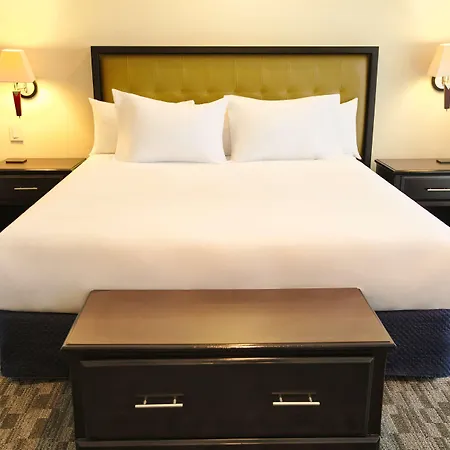 Wyndham Garden Guatemala City-3