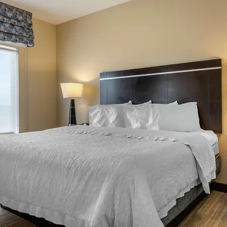 Hampton Inn Alamosa-3